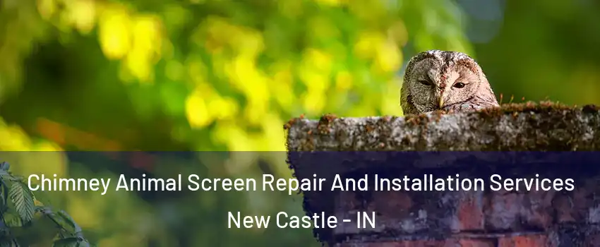  Chimney Animal Screen Repair And Installation Services New Castle - IN