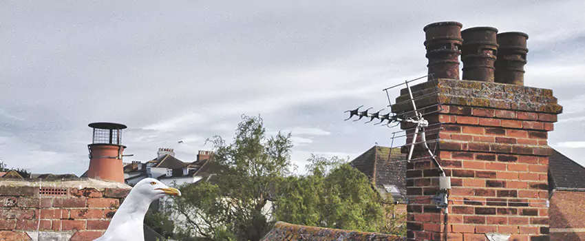 Chimney Cleaning And Restoration in New Castle, Indiana