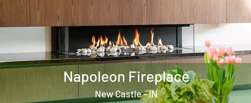  Napoleon Fireplace New Castle - IN