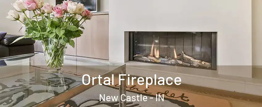  Ortal Fireplace New Castle - IN